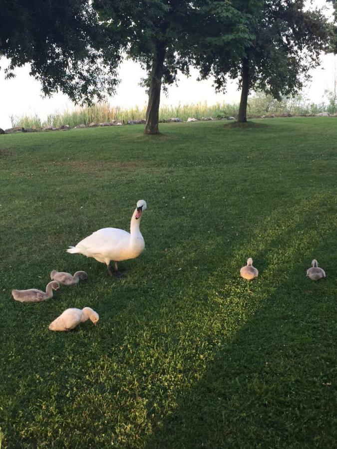 De Luxe Apartments Eden Sirmione Dış mekan fotoğraf